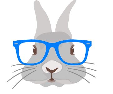 Bunny with Blue glasses Heat Transfer