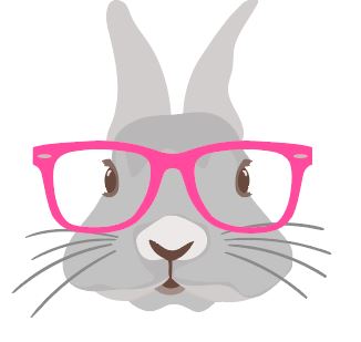 Bunny with Pink Glasses Heat Transfer