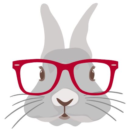Bunny with red glasses Easter Heat Transfer