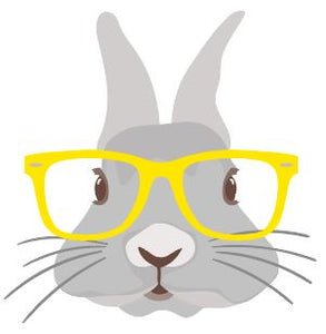 Bunny with Yellow glasses Heat Transfer