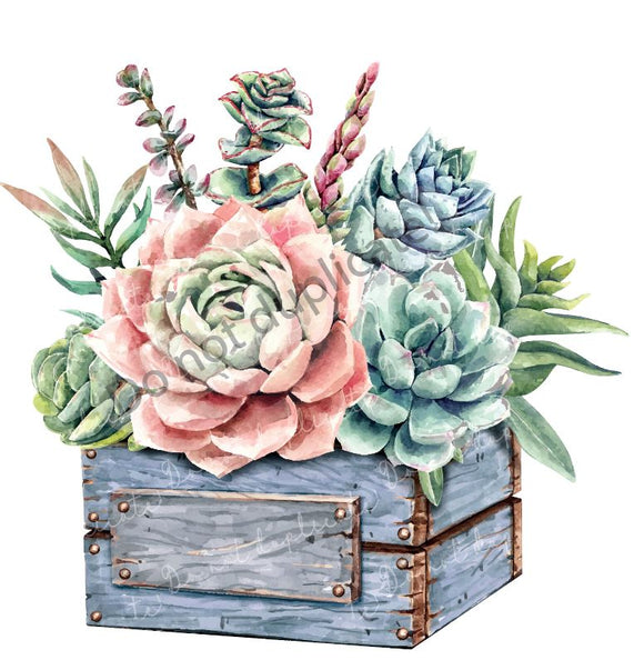 Copy of Cactus/Succulents in Box Vinyl Heat Transfer