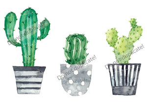 Cactus/Succulents in Pots Vinyl Heat Transfer