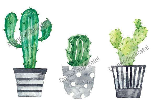 Cactus/Succulents in Pots Vinyl Heat Transfer